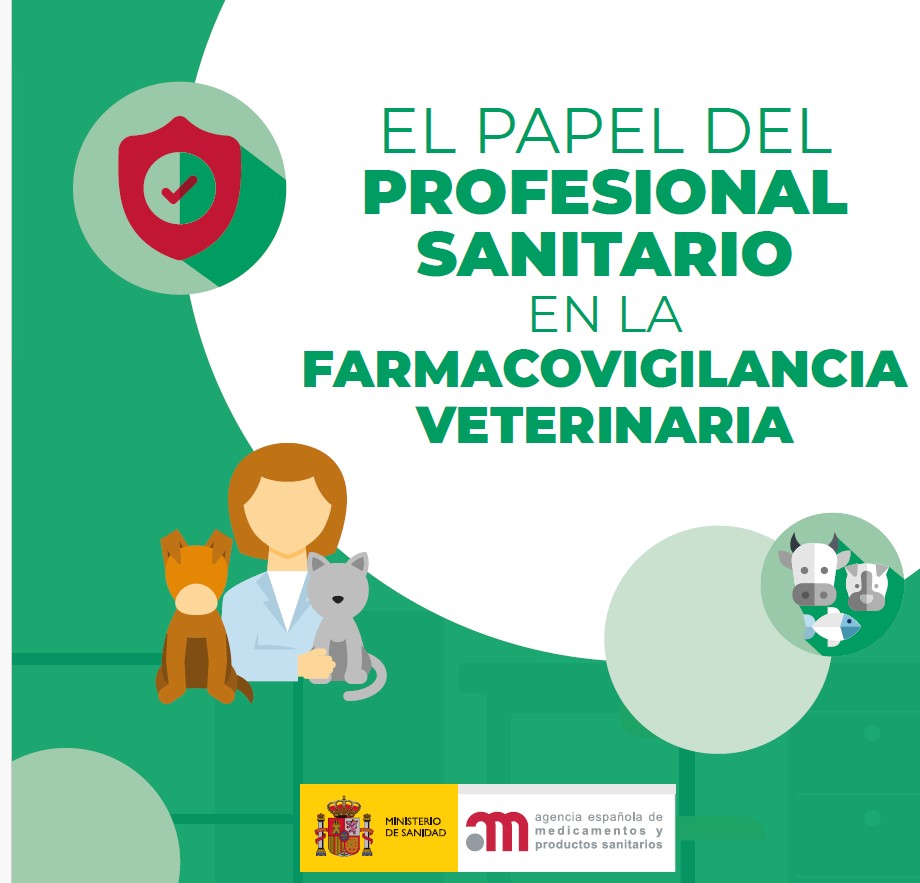 25-11-2024 11.11.11 1.jpg 25-11-2024 11.11.11 1.jpg